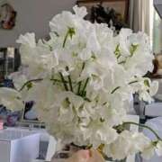 ヒメ日記 2026/01/21 20:35 投稿 ◆あさみ マダム錦糸町