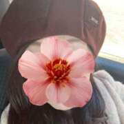 ヒメ日記 2026/02/07 07:27 投稿 ◆あさみ マダム錦糸町