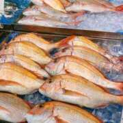 ヒメ日記 2026/02/18 15:23 投稿 ◆あさみ マダム錦糸町