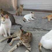 ヒメ日記 2026/02/22 16:32 投稿 ◆あさみ マダム錦糸町