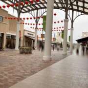 ヒメ日記 2026/02/25 17:08 投稿 ◆あさみ マダム錦糸町