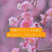 ヒメ日記 2026/03/01 20:34 投稿 ◆あさみ マダム錦糸町