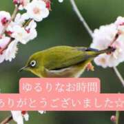 ヒメ日記 2026/03/11 21:11 投稿 ◆あさみ マダム錦糸町