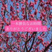 ヒメ日記 2026/03/17 20:26 投稿 ◆あさみ マダム錦糸町