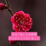 ヒメ日記 2026/03/18 20:35 投稿 ◆あさみ マダム錦糸町