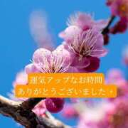 ヒメ日記 2026/03/20 20:04 投稿 ◆あさみ マダム錦糸町