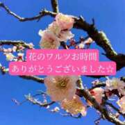 ヒメ日記 2026/03/23 20:51 投稿 ◆あさみ マダム錦糸町
