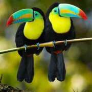 ヒメ日記 2026/03/27 22:13 投稿 ◆あさみ マダム錦糸町