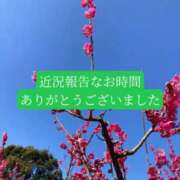 ヒメ日記 2026/03/30 20:43 投稿 ◆あさみ マダム錦糸町