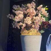 ヒメ日記 2026/04/01 21:00 投稿 ◆あさみ マダム錦糸町