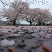 ヒメ日記 2026/04/02 09:48 投稿 ◆あさみ マダム錦糸町