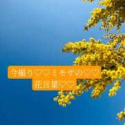 ヒメ日記 2026/04/06 08:50 投稿 ◆あさみ マダム錦糸町