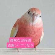 ヒメ日記 2026/04/08 20:24 投稿 ◆あさみ マダム錦糸町