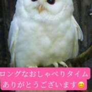 ヒメ日記 2026/04/09 20:20 投稿 ◆あさみ マダム錦糸町