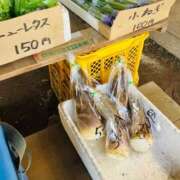 ヒメ日記 2026/04/12 13:34 投稿 ◆あさみ マダム錦糸町