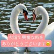 ヒメ日記 2026/04/14 20:11 投稿 ◆あさみ マダム錦糸町