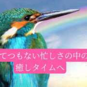ヒメ日記 2026/04/15 20:33 投稿 ◆あさみ マダム錦糸町
