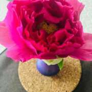 ヒメ日記 2026/04/16 20:30 投稿 ◆あさみ マダム錦糸町