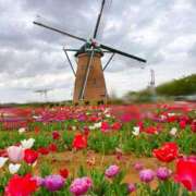 ヒメ日記 2026/04/18 17:08 投稿 ◆あさみ マダム錦糸町