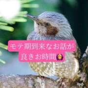 ヒメ日記 2026/04/20 20:03 投稿 ◆あさみ マダム錦糸町