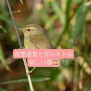 ヒメ日記 2026/04/20 20:14 投稿 ◆あさみ マダム錦糸町