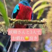 ◆あさみ ピアノ協奏曲🎹🎵紳士様へお礼です🙂 マダム錦糸町