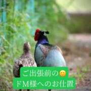 ヒメ日記 2026/04/22 20:10 投稿 ◆あさみ マダム錦糸町