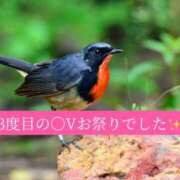 ヒメ日記 2026/04/24 20:35 投稿 ◆あさみ マダム錦糸町