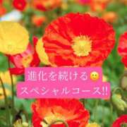 ヒメ日記 2026/05/12 19:58 投稿 ◆あさみ マダム錦糸町