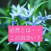 ヒメ日記 2026/05/18 20:54 投稿 ◆あさみ マダム錦糸町