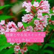 ヒメ日記 2026/05/20 20:26 投稿 ◆あさみ マダム錦糸町