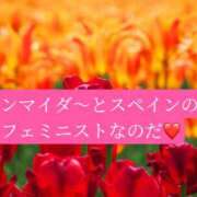 ヒメ日記 2026/05/22 20:43 投稿 ◆あさみ マダム錦糸町