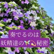 ヒメ日記 2026/05/26 20:43 投稿 ◆あさみ マダム錦糸町