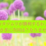 ヒメ日記 2026/05/27 20:41 投稿 ◆あさみ マダム錦糸町