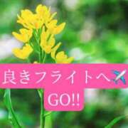 ヒメ日記 2026/05/31 20:56 投稿 ◆あさみ マダム錦糸町