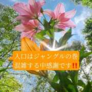 ヒメ日記 2026/06/11 21:08 投稿 ◆あさみ マダム錦糸町