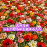 ヒメ日記 2026/06/15 21:00 投稿 ◆あさみ マダム錦糸町