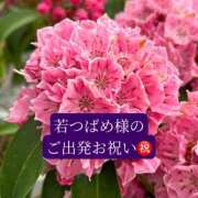 ヒメ日記 2026/06/16 20:37 投稿 ◆あさみ マダム錦糸町
