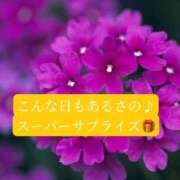 ヒメ日記 2026/06/17 21:03 投稿 ◆あさみ マダム錦糸町