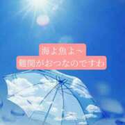ヒメ日記 2026/07/13 20:28 投稿 ◆あさみ マダム錦糸町
