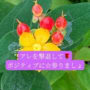 ヒメ日記 2026/07/13 20:49 投稿 ◆あさみ マダム錦糸町