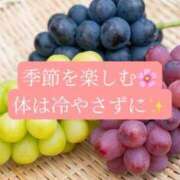 ヒメ日記 2026/09/18 20:52 投稿 ◆あさみ マダム錦糸町