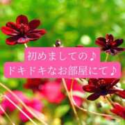 ヒメ日記 2026/10/13 20:46 投稿 ◆あさみ マダム錦糸町