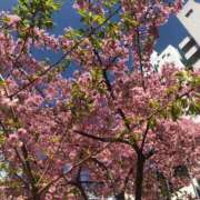 ヒメ日記 2025/03/18 11:22 投稿 さや 渋谷 風俗 奥様発情の会