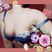 ヒメ日記 2025/08/06 12:43 投稿 れい　ツルツルパイパン 新橋ラズベリードール