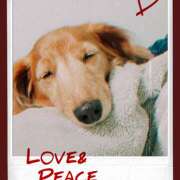 ヒメ日記 2025/07/01 15:57 投稿 みすみ 熟女の風俗最終章 本厚木店