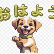 ヒメ日記 2026/03/01 15:31 投稿 みすみ 熟女の風俗最終章 本厚木店