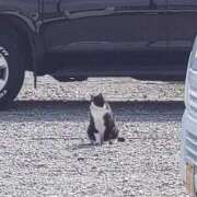 ヒメ日記 2026/03/25 11:21 投稿 みすみ 熟女の風俗最終章 本厚木店