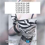 ヒメ日記 2025/05/26 21:46 投稿 アゲハ 福岡覚醒Ｍ性感 女医のカルテ