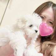 ヒメ日記 2025/09/20 02:00 投稿 サキ ドMな奥様 大阪本店